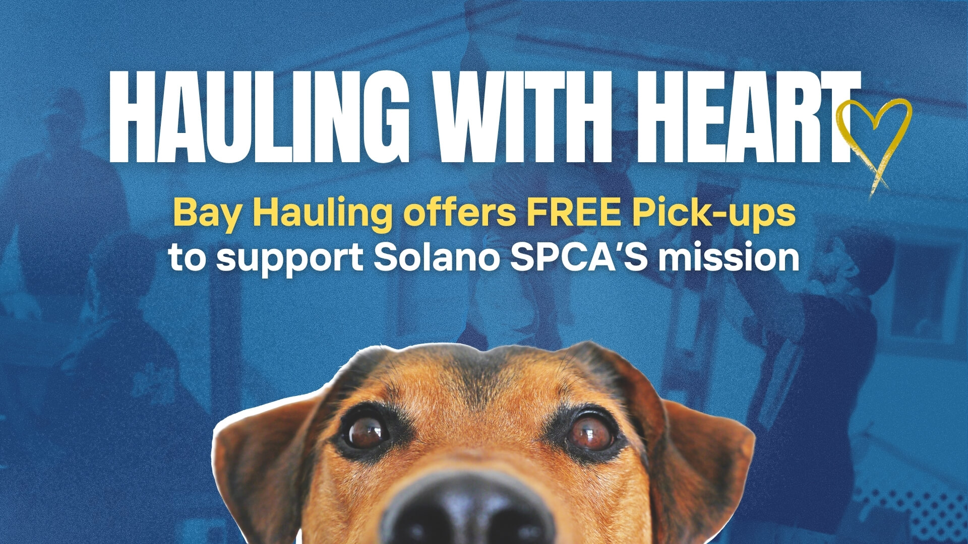 Bay Hauling supports Solano SPCA furever pets friends