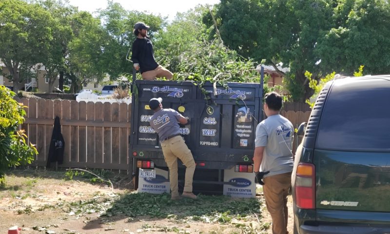 yard debris removal